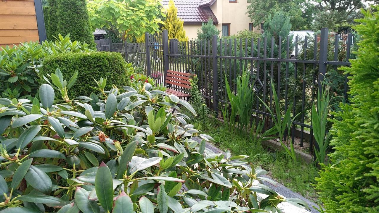 Silver Rowy Homestay *