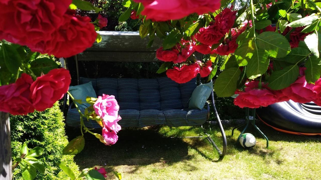 Homestay Silver Rowy